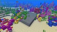 Plenty of underwater structures (Image via lookingforseed)
